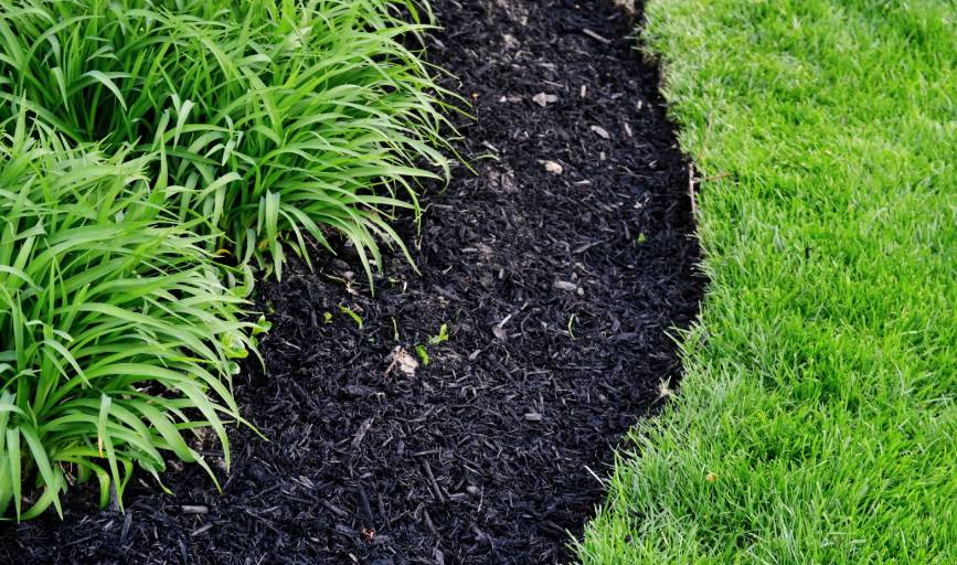 Mulching